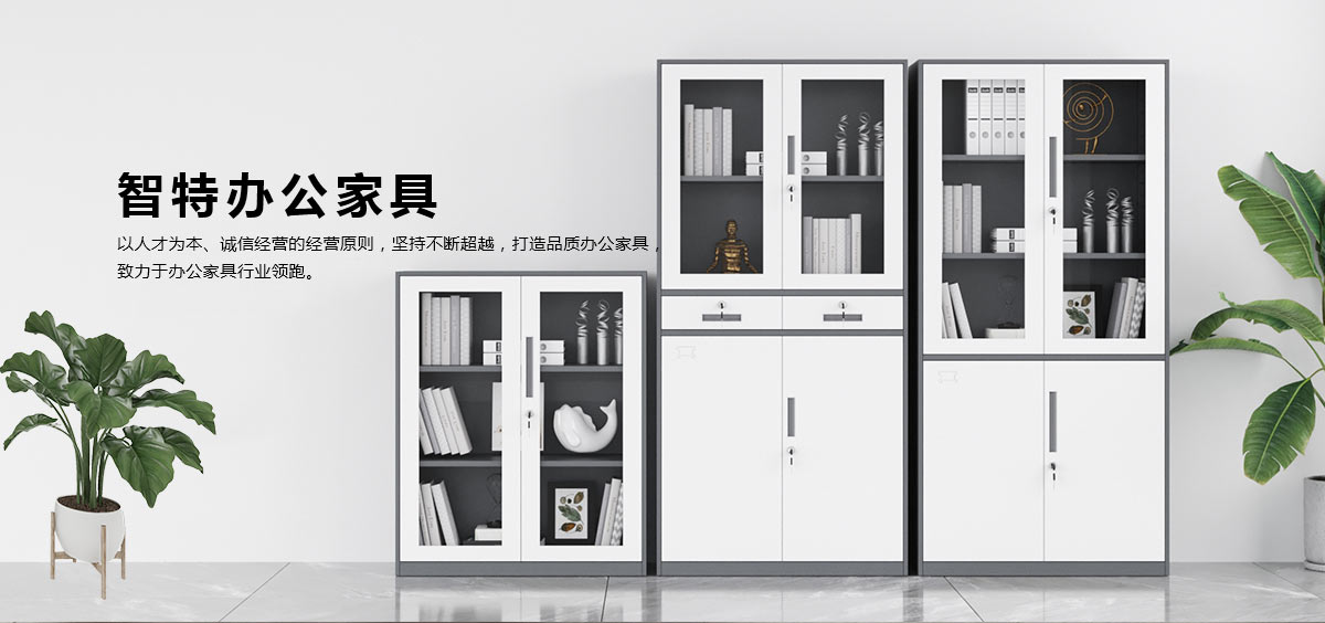 套色文件柜、文件柜、書(shū)架、密碼柜、貨架、鐵皮柜、工具柜、保密柜、智能柜、電子存包柜