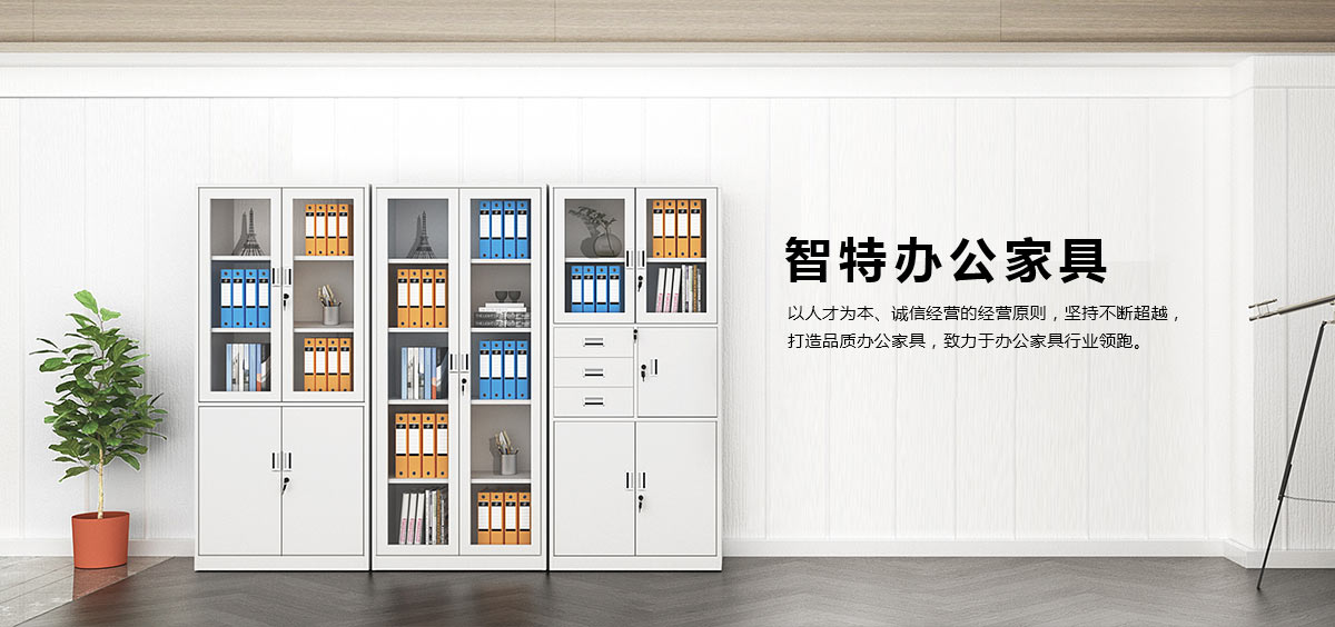 套色文件柜、書(shū)架、貨架、文件柜、工具柜、密碼柜、智能柜、鐵皮柜、保密柜、電子存包柜